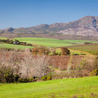 Landscapes of Botrivier