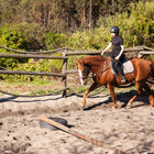 Horse Riding in Botrivier