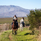 Horse Riding in Botrivier