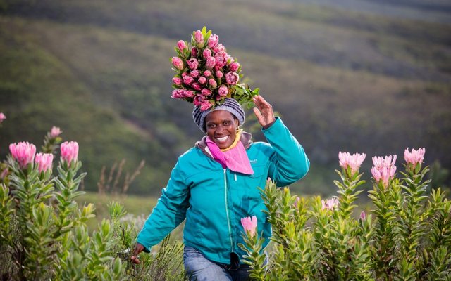 Funky Fynbos Funky Fynbos