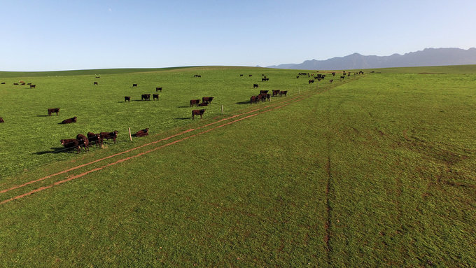 DJI_0077 DJI_0077