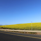 Road to Riviersonderend