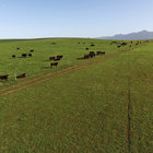 Farming Community Farming Community