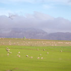 Landscapes of Caledon