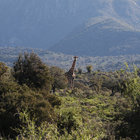 Explore the Outdoors Explore the Outdoors