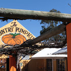 The Country Pumpkin The Country Pumpkin