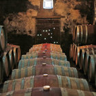 Cellar Tours Cellar Tours