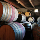 Cellar Tours Cellar Tours