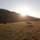 Swellendam Landscapes