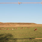 Swellendam Landscapes