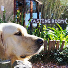 Tasting Room this way Tasting Room this way