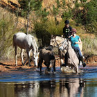 Horse Riding in Swellendam Horse Riding in Swellendam