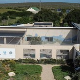 African Penguin & Seabird Sanctuary - Xplorio™ Gansbaai 