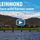 Kleinmond - Where Wild Horses Roam Kleinmond - Where Wild Horses Roam