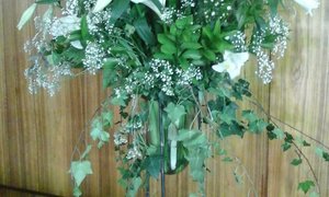 Vergeef ons ons oortredinge . . .