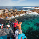 Marine Big 5 boat trip