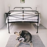 Enjoy a comfortable night's rest at Sixpence Cottage in Stanford Village