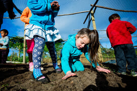 Flower Valley’s centre open for 2016 