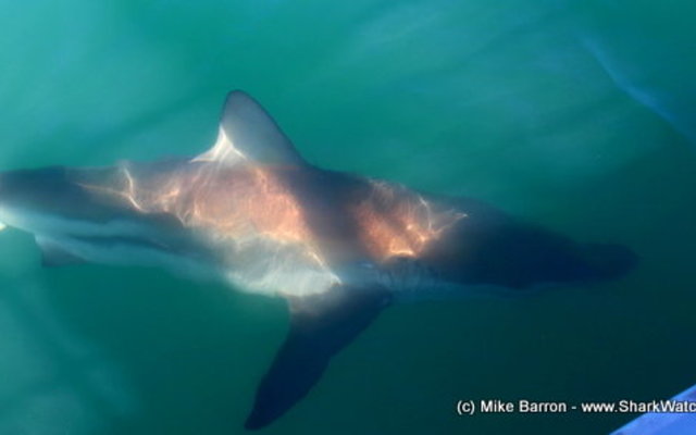 20151118_SF_Trip1_MBarron_IMG_00361