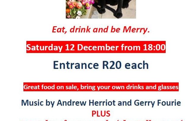 SAWS Music on the Lawn (12 December 2015)