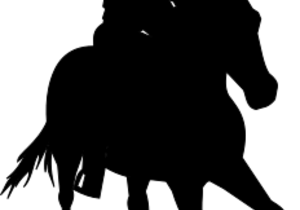 Thank you Hippomania!