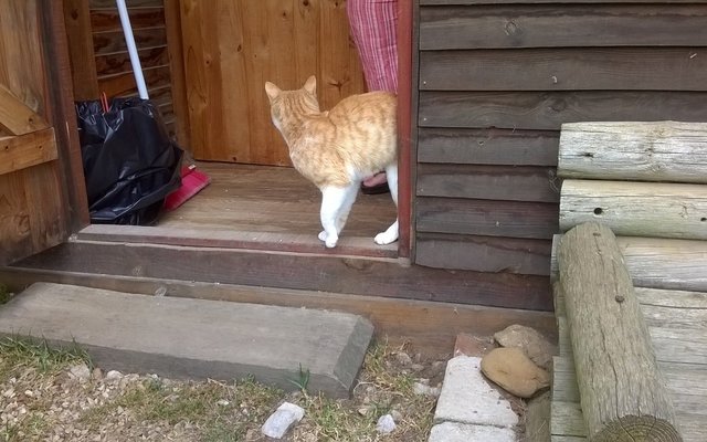 Doughnut getting to play outside