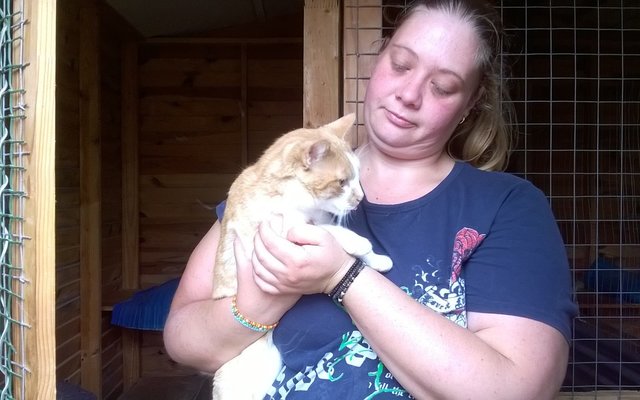 Doughnut getting some much needed attention