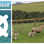 Swellendam - Home of Heritage and Natural Beauty Swellendam - Home of Heritage and Natural Beauty