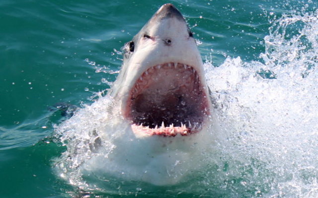 20151016_SF_Trip1_KBaker_IMG_00235