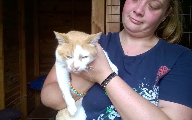 WP_20151220_09_52_22_Pro