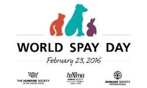 World Spay Day