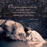 Humans prime purpose...