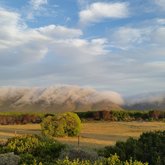 Gansbaaai Table Cloth