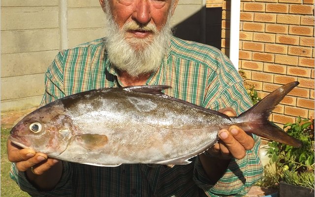 Gansbaai_Skaars_vis_gevang_1