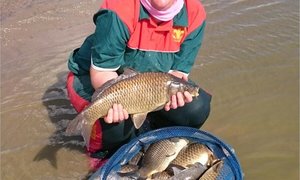 Sandri gekies vir SAVOF A-span