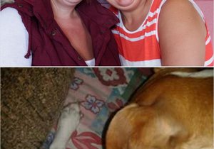 Jack Russell en Fisantkuiken