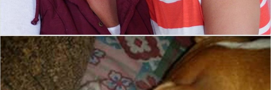 Vlnr is Stella Olivier en Elize van Deventer wat elk vir ‘n diere-verhaaltjie gesorg het