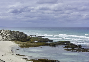 4 Hot Reasons to Visit De Hoop this Winter