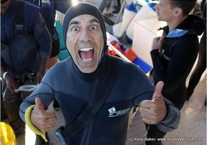 Northern Elephant Seal - Marine Evening