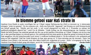 In blomme getooi vaar HaS strate in