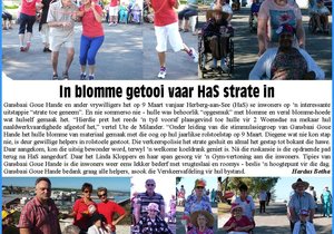 In blomme getooi vaar HaS strate in