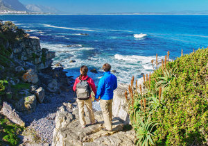 Top 10 Things To Do in Hermanus