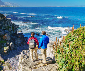 Top 10 Things To Do in Hermanus