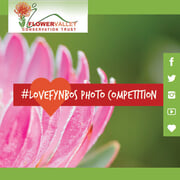 We’re celebrating Plant Appreciation Day - and you can WIN