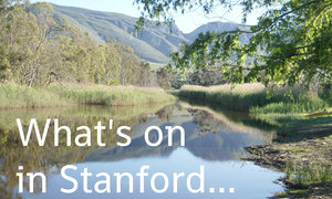What's on in Stanford (25 - 29 April 2016)