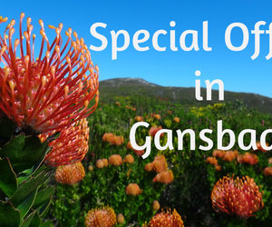 Special Offers in Gansbaai