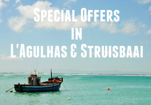 Special Offers in L'Agulhas / Struisbaai