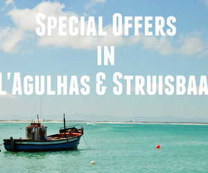 Special Offers in L'Agulhas / Struisbaai