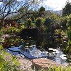 Fiore Garden Centre Fiore Garden Centre