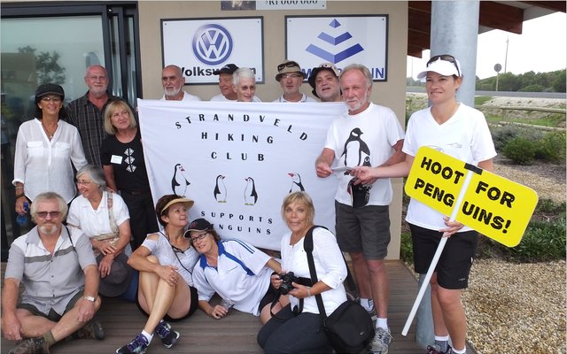 Gansbaai_Waggel_Waggel_Pikkewyne_1_1